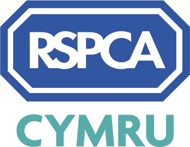 RSPCA Cymru logo stacked white